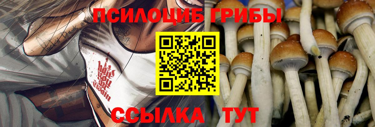 закладка  Псилоцибиновые грибы мухоморы  Крымск  Вход с VPN  Псилоцибиновые грибы Psilocybine cubensis 